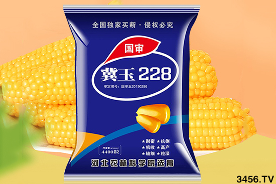 玉米要高产,选对品种很重要!高产玉米种子应该这样买! 玉米要高产,选对品种很重要!高产玉米种子应该这样买!