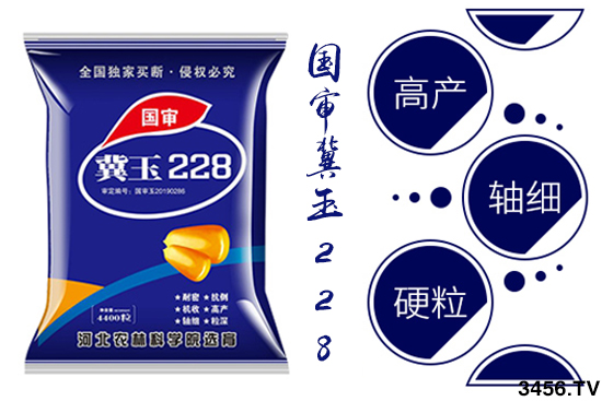 2021年怎样选购玉米种子,哪款玉米品种好? 2021年怎样选购玉米种子,哪款玉米品种好?